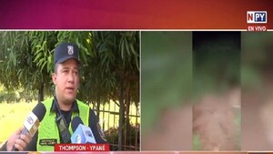 Brutal intento de asesinato a una mujer en Ypané