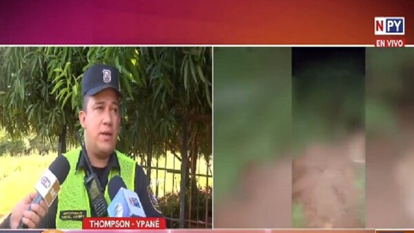 Brutal intento de asesinato a una mujer en Ypané
