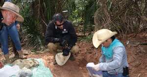 Diario HOY | Hallan una caleta con evidencias durante búsqueda de Félix Urbieta en Concepción