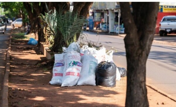 Realizan campaña para mejorar la limpieza de la avenida San José
