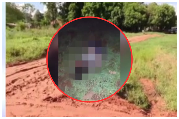 Brutal ataque a una joven: fue apuñalada 14 veces y se encuentra en terapia intensiva - SNT