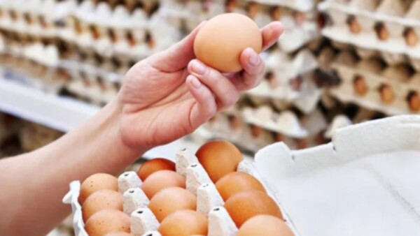 “El precio actual del huevo permanecería hasta Semana Santa”