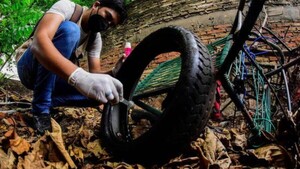 Dengue, con aumento de casos en Asunción y once departamentos