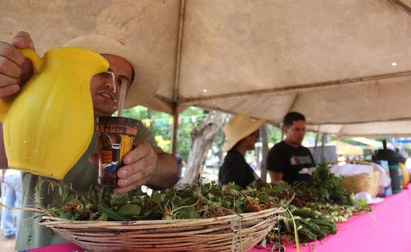 AUDIO: Celebramos el Día Nacional del Tereré en el Paseo de los Yuyos del Mercado 4 - Contacto Ciudadano - ABC Color