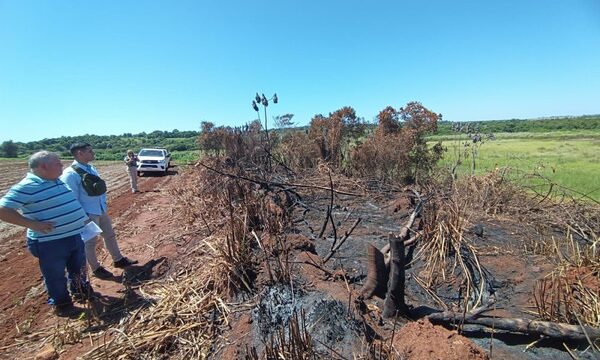 Fiscalía imputó a dueño de una propiedad por la tala y quema de bosques en O’Leary – Diario TNPRESS