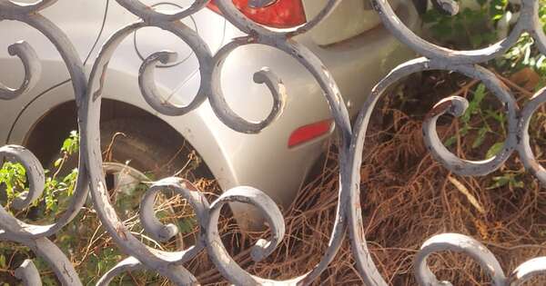 Diario HOY | Denuncian abandono y basural en ex Centro de Adopciones