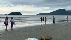 Triste escena: perrito no abandonó el cuerpo de su dueño que se ahogó en Balneario Camboriú - Mundo - ABC Color