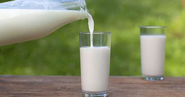 La Nación / Suba del precio de la leche no será generalizado, afirman desde gremio