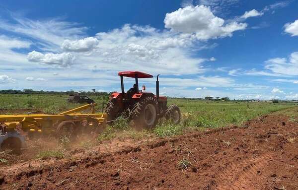 Agricultores priorizan la siembra de los productos de renta y de consumo - Nacionales - ABC Color
