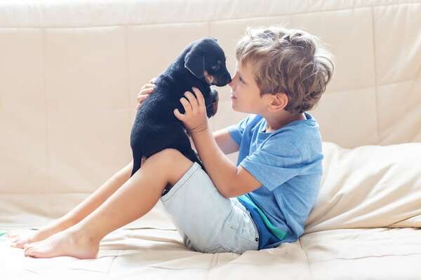 ¿Por qué tener una mascota hace bien? - ABC Revista - ABC Color