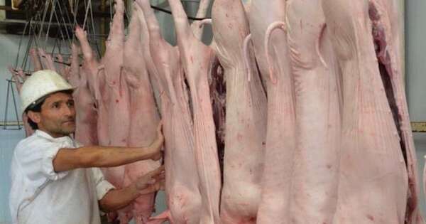 La Nación / Un nuevo frigorífico de carne porcina pone foco en Taiwán