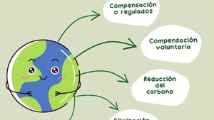 ¿Cómo se pueden aprovechar los Créditos de Carbono?