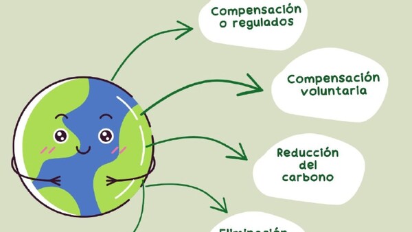 ¿Cómo se pueden aprovechar los Créditos de Carbono?