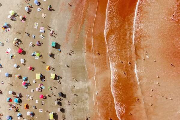 Llamativo color rojo en playas de la costa atlántica argentina sería provocado por algas - Ciencia - ABC Color