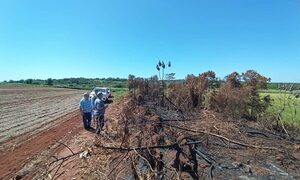 Imputan a dueño de una propiedad por tala y quema de bosque nativo