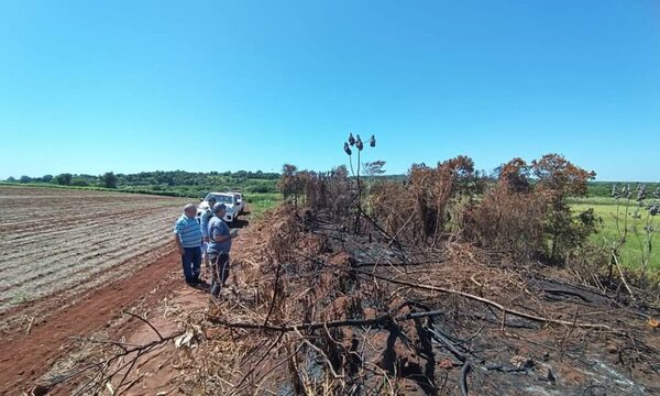 Imputan a dueño de una propiedad por tala y quema de bosque nativo