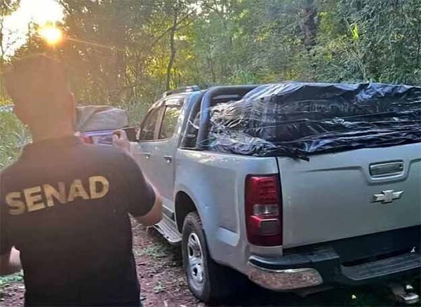 Incautan en Saltos del Guairá más de 14 toneladas de marihuana transportadas en convoy de 9 vehículos | DIARIO PRIMERA PLANA