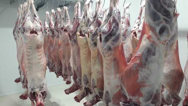 Frigorífico Victoria muy próximo a la histórica habilitación para la exportación de carne ovina