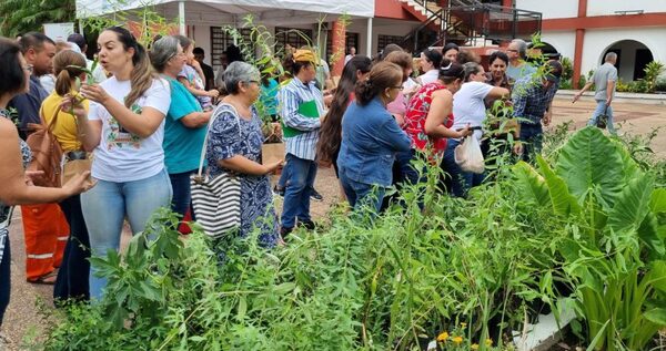 Yacyretá distribuye 15.000 plantas medicinales al año