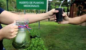 ITAIPU celebra el Día Nacional del Tereré y promueve el uso responsable de plantas medicinales
