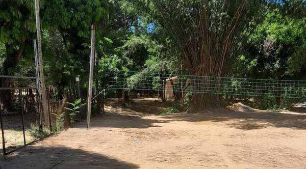 Ronda de tragos en cancha de piki acaba en una muerte accidental en Pirayú - Noticiero Paraguay