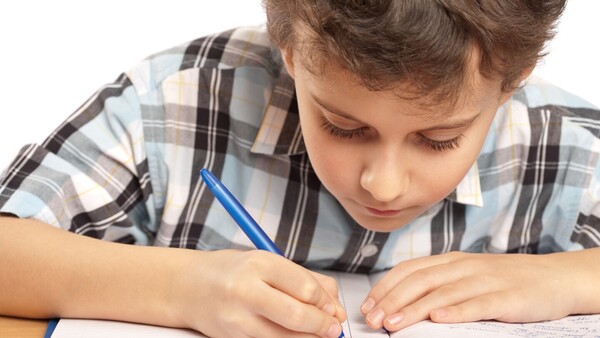 "El niño no debe llevar tareas a la casa", recomendó el ministro de Educación