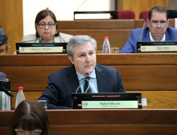 Filizzola afronta audiencia preliminar y defensa buscará el sobreseimiento - Judiciales.net