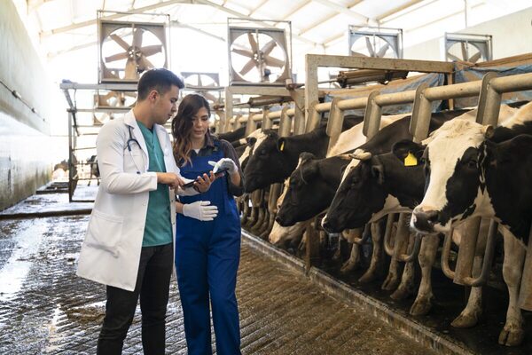 La reemergencia de zoonosis obliga a abordar la salud animal, humana y de los ecosistemas como una sola
