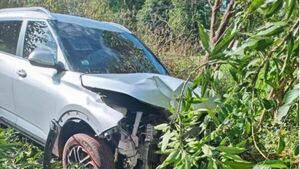 Chanchito causó accidente de auto donde iban una doña con sus cuatro hijos