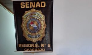 Incautan más de 5.000 dosis de chespi en Luque