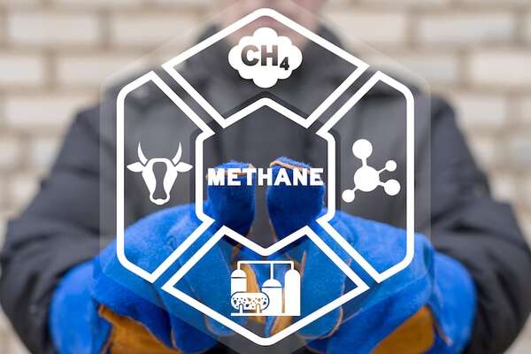 Aplicación europea detecta las emisiones de metano en la Tierra en tiempo real - Ciencia - ABC Color