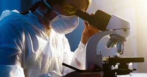 La Nación / La mujer paraguaya va ganando cada vez más terreno en la investigación científica