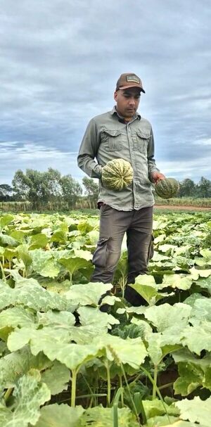 Productor hortícola de Misiones fortalece la alimentación escolar con apoyo del CAH - .::Agencia IP::.