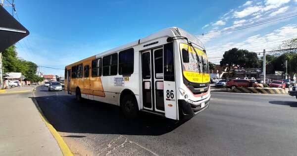 La Nación / Reforma del transporte: prevén inversión millonaria y más de 800 buses para el sistema