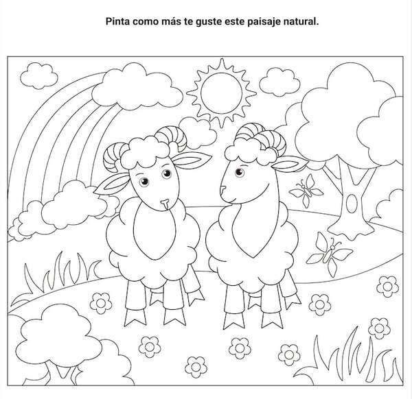 Día Mundial de la Naturaleza: acciones para proteger el planeta desde la escuela - Medio Natural y Salud Primer Ciclo - ABC Color