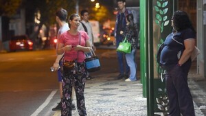Servicio Búho: En tres días registraron 659 pasajeros
