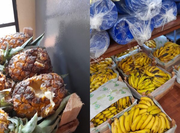 Apenas empieza año lectivo y ya aparecen alimentos podridos en el almuerzo escolar - La Clave