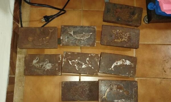 Decomisan cocaína por valor de USD 4 millones en Alto Paraná