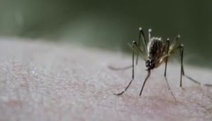 Niño de 8 años muere por dengue en Santa Rita - SNT
