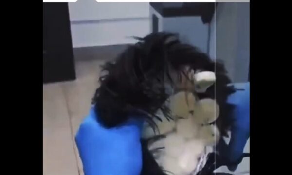 ¡Tenía escondido droga en su peluca!