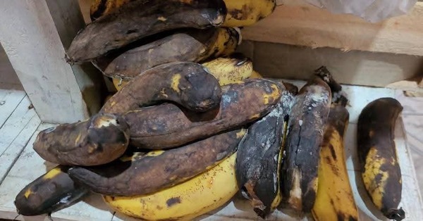 Denuncian a empresa que entregó alimentos en mal estado a niños en Caaguazú
