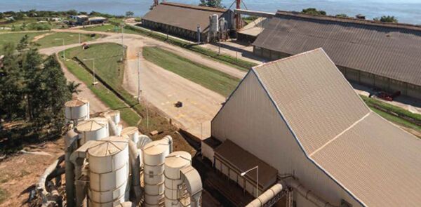 驴Qu茅 necesitamos para materializar el potencial de la agroindustria paraguaya?