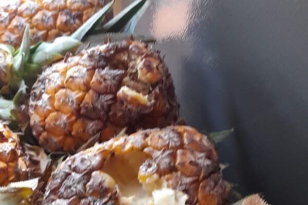 Denuncian que en primer día de clases entregaron alimentos en mal estado en Franco