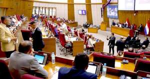 La Nación / En Diputados empieza disputa por cupo en el JEM
