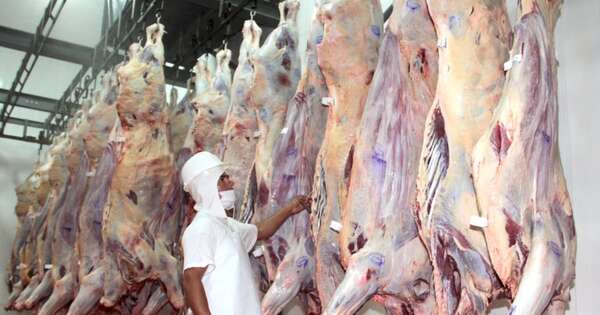 La Nación / Estudiarán la cadena de valor de la carne paraguaya para impulsar inversiones