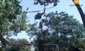 Yaguarón: helicóptero presidencial derrumbó muralla de un club