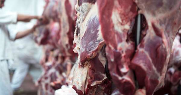 La Nación / Instituto de la Carne busca hacerse realidad con un nuevo anteproyecto de ley