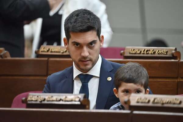 Hijo de Yamy Nal: nuevo escándalo “no es sorpresa”, dice diputado - Política - ABC Color