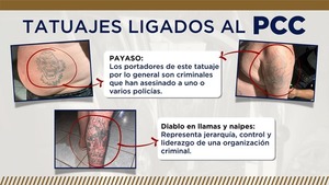 Capturan a peligroso sicario ligado al PCC - La Clave
