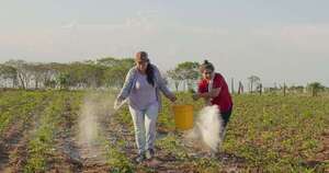 La Nación / Fortalecen a pequeños productores de Caazapá con prácticas sostenibles